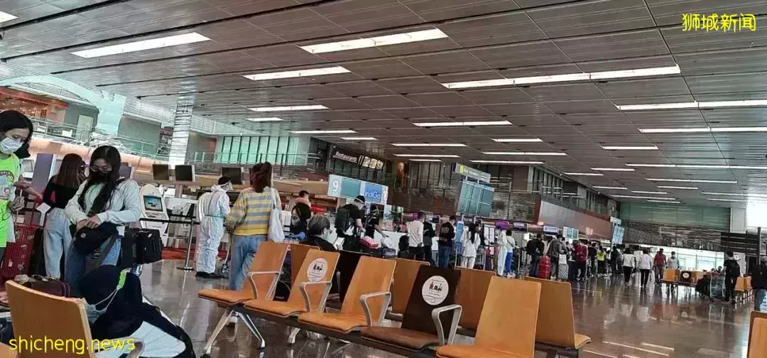 親測!最新回中國體驗!政策更新太快,好怕我還沒飛就又改