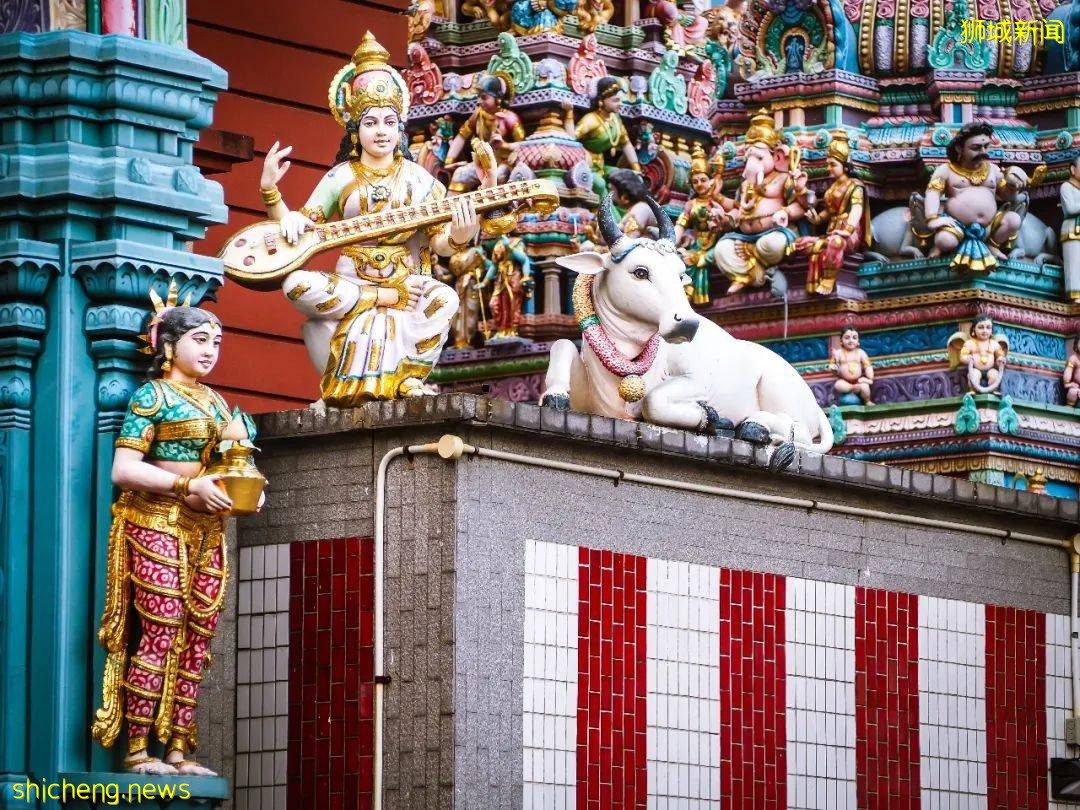 新加坡印度街区与传统中式寺庙欣赏