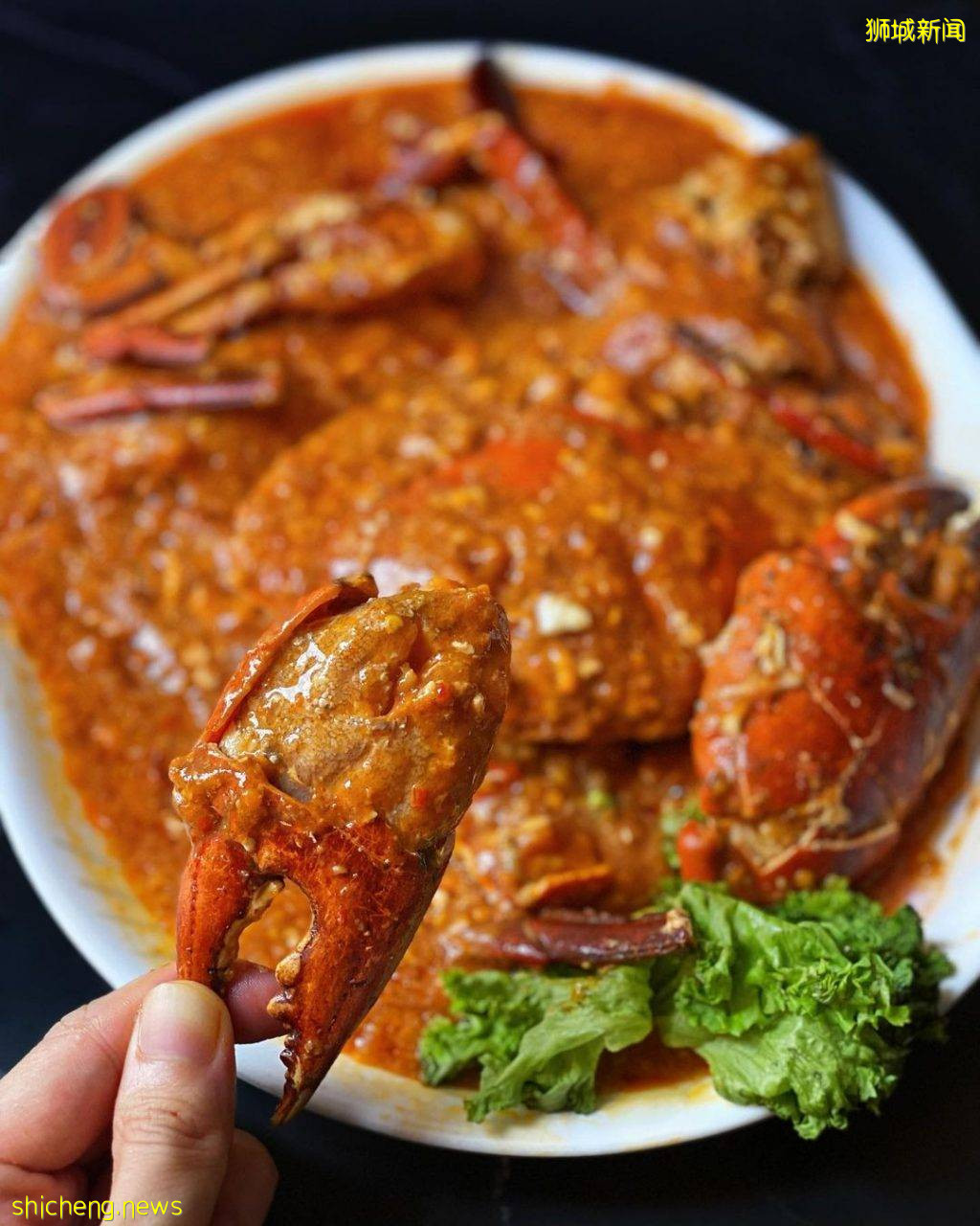 老字号海鲜餐馆🏅️抗疫大放送!螃蟹,小龙虾泡饭粥等特色主食只要S$9🤤螃蟹小龙虾买一送一