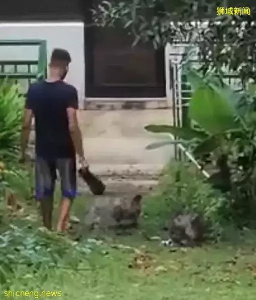 男子这样虐鸡 可以报警捉他吗