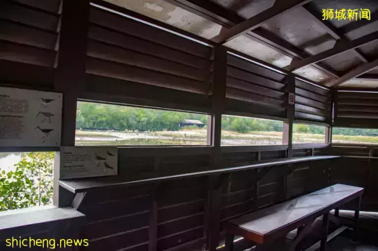 《即刻隨心所想，心想獅城》新加坡生態遊系列2