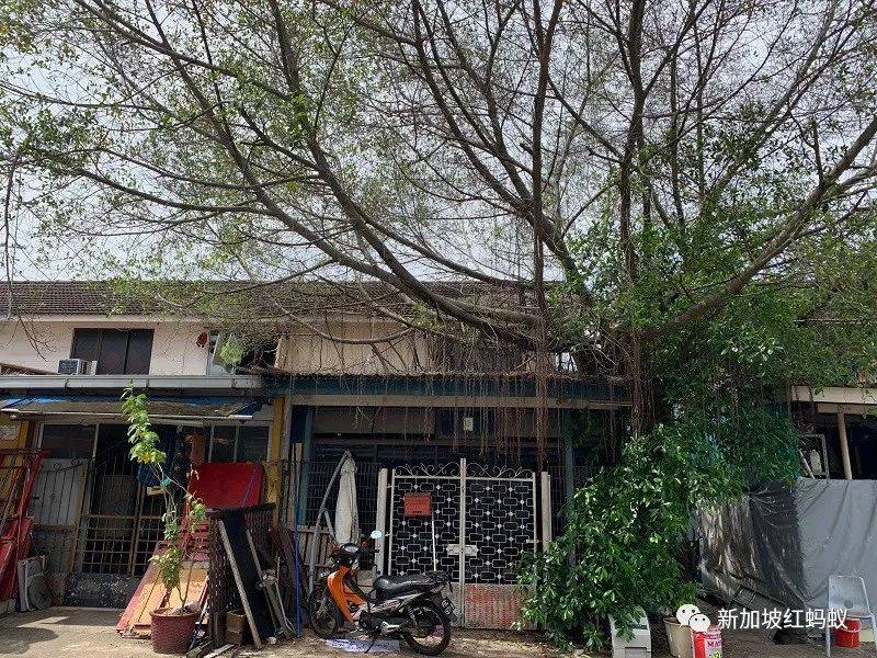 新加坡紅燈區附近的巷子走入曆史　連神像都必須漂洋過海去馬來西亞安家