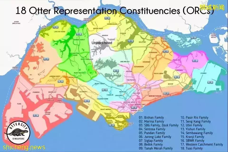 在新加坡，你見過熱戀中的水獺嗎