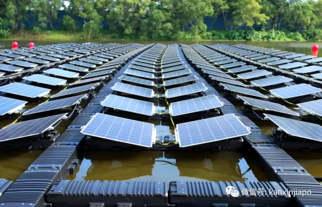 “一个月电费涨了3倍要4万新币,是逼我们关门吗?”揭秘新加坡电力市场