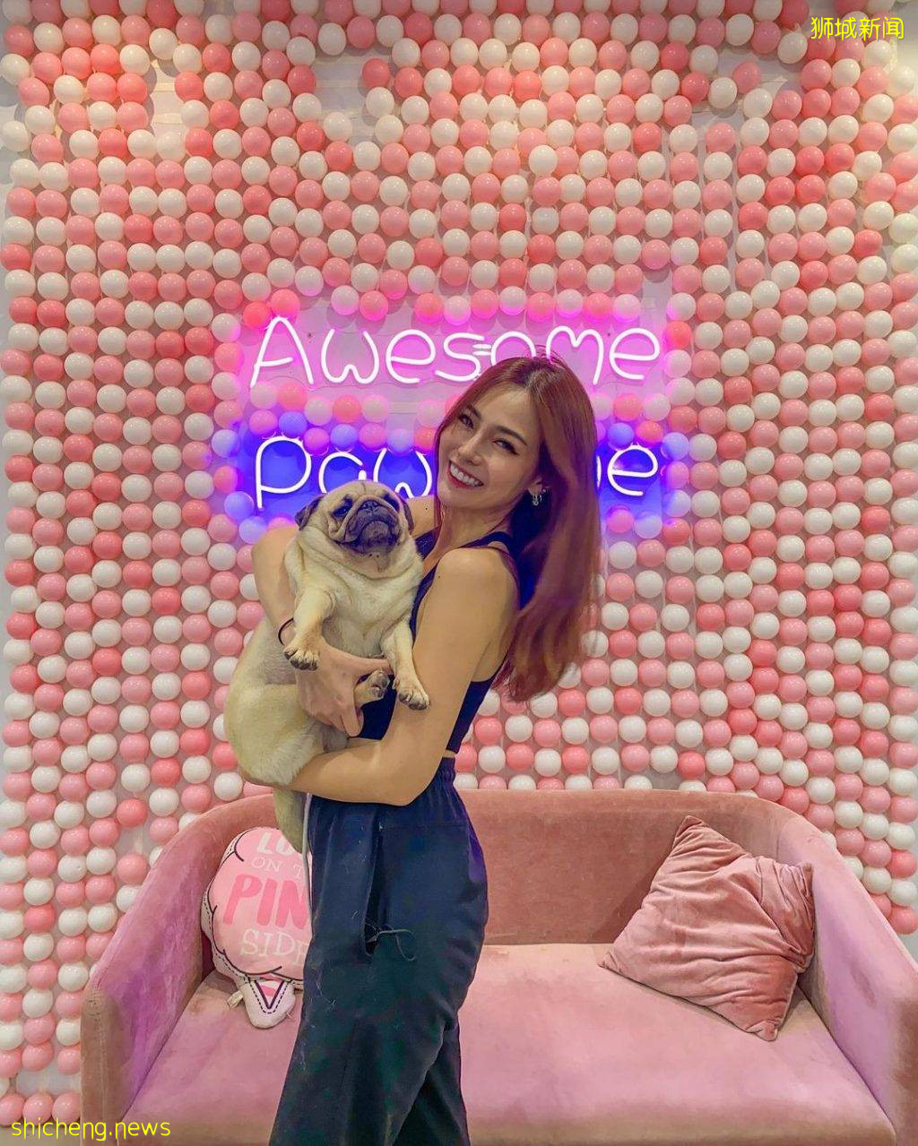 Wooftopia俏皮可爱宠物咖啡厅🐶 呆萌哈士奇坐镇!纯撸狗或带上自家狗狗都可以👌