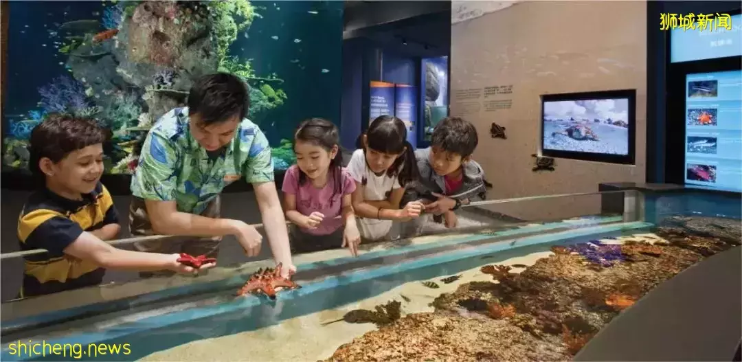 明星富人的移民“新宠”,一场旅行告诉你新加坡魅力何在