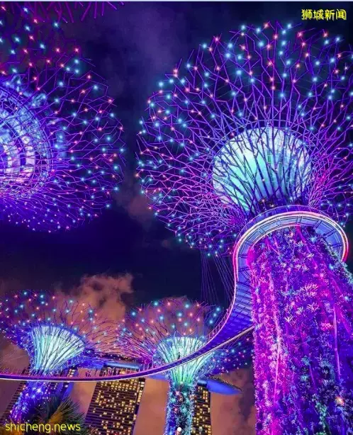 玩在獅城 聖誕節快到啦！去這幾個燈展打卡拍照絕對刷爆你的Instagram