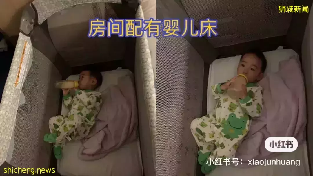 羡慕!一家四口5天4夜坐豪华邮轮免费,攀岩、冲浪、蹦极、跳伞,数不尽的美食和表演