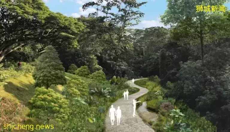 新加坡将新设拉柏多自然公园步道，提升绿化和生态连通性