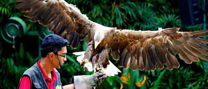 玩轉新加坡!八個必去的旅遊景點