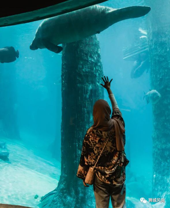 River Safari is now Disney Tsum Tsum-Themed