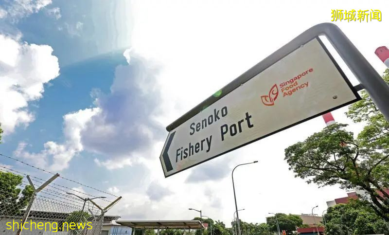 渔港采用无接触式送货