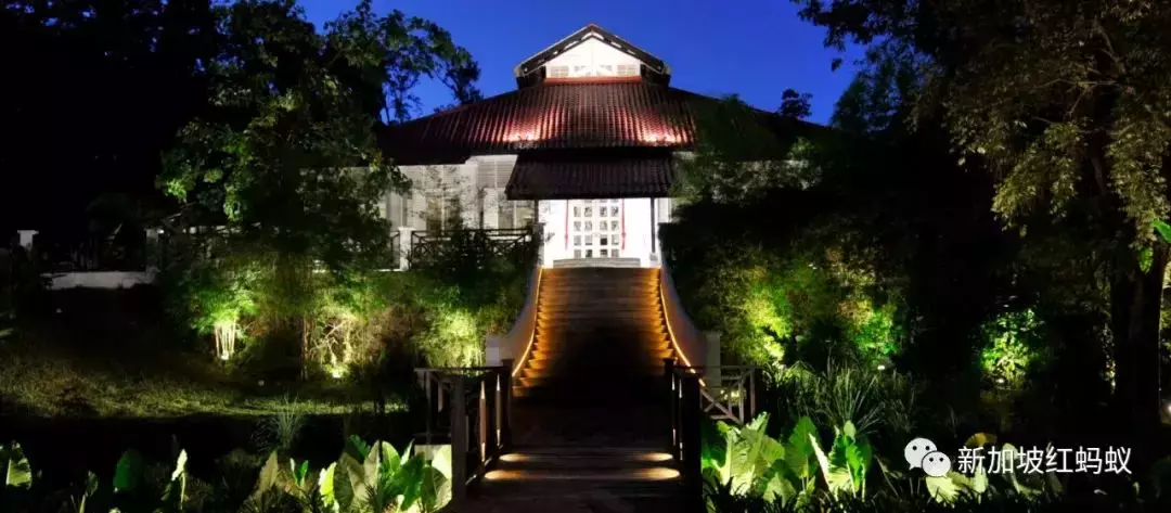 新加坡公園的浪漫,只有去過這些隱藏版特色餐館的人才懂