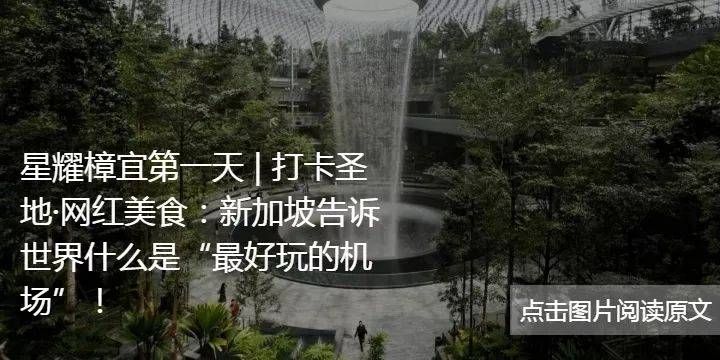 考试结束别急着回国！樟宜机场竟然还能这样玩