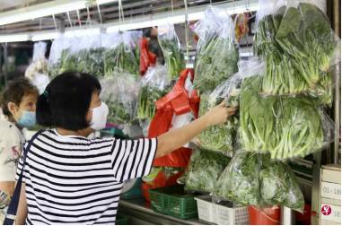 一夜入冬!新加坡30年來最潮一月!大雨還要持續多久