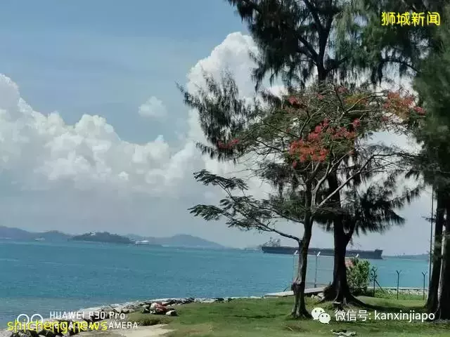 新加坡大解封,又可以到处耍啦!第一站不如先去这3个宝藏小岛