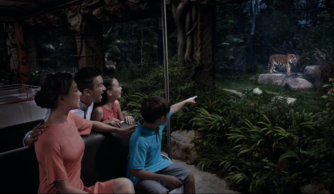 VIP尊享游览+晚宴！Night Safari为您打开别开生面的新年旅程（文末附优惠）