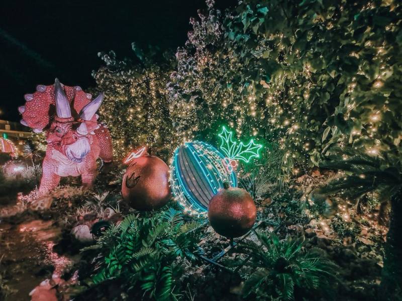 樟宜侏罗纪步道节日特备🎄入场免费!酷炫版恐龙灯饰装置,闪亮隧道、圣诞霓虹灯✨