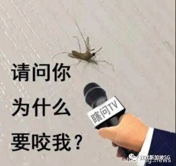 新加坡骨痛热症首次回落三位数！但依旧“阴魂不散”