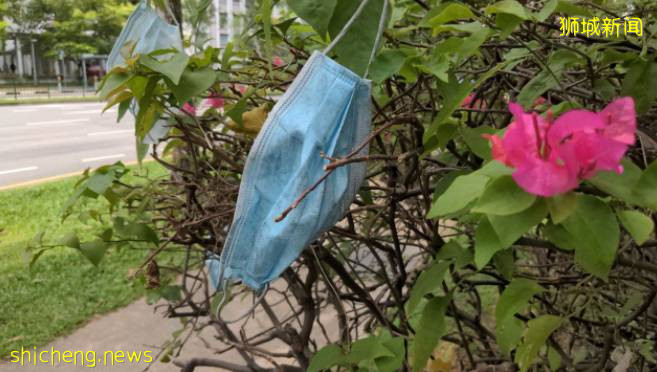 新加坡驚現“口罩樹”,造出這種新植物的你真沒點責任心