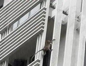 《神奇動物在哪裏之 NTU 篇》