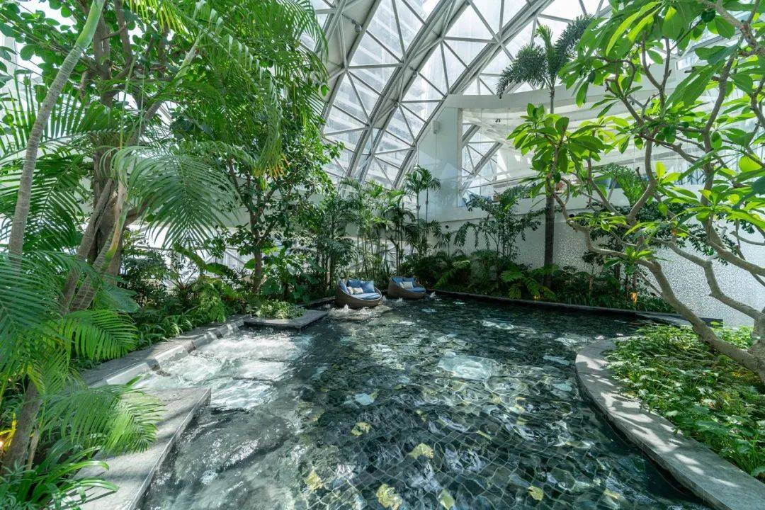 中国这个城市的跨年狂欢夜,让新加坡的我们太羡慕了