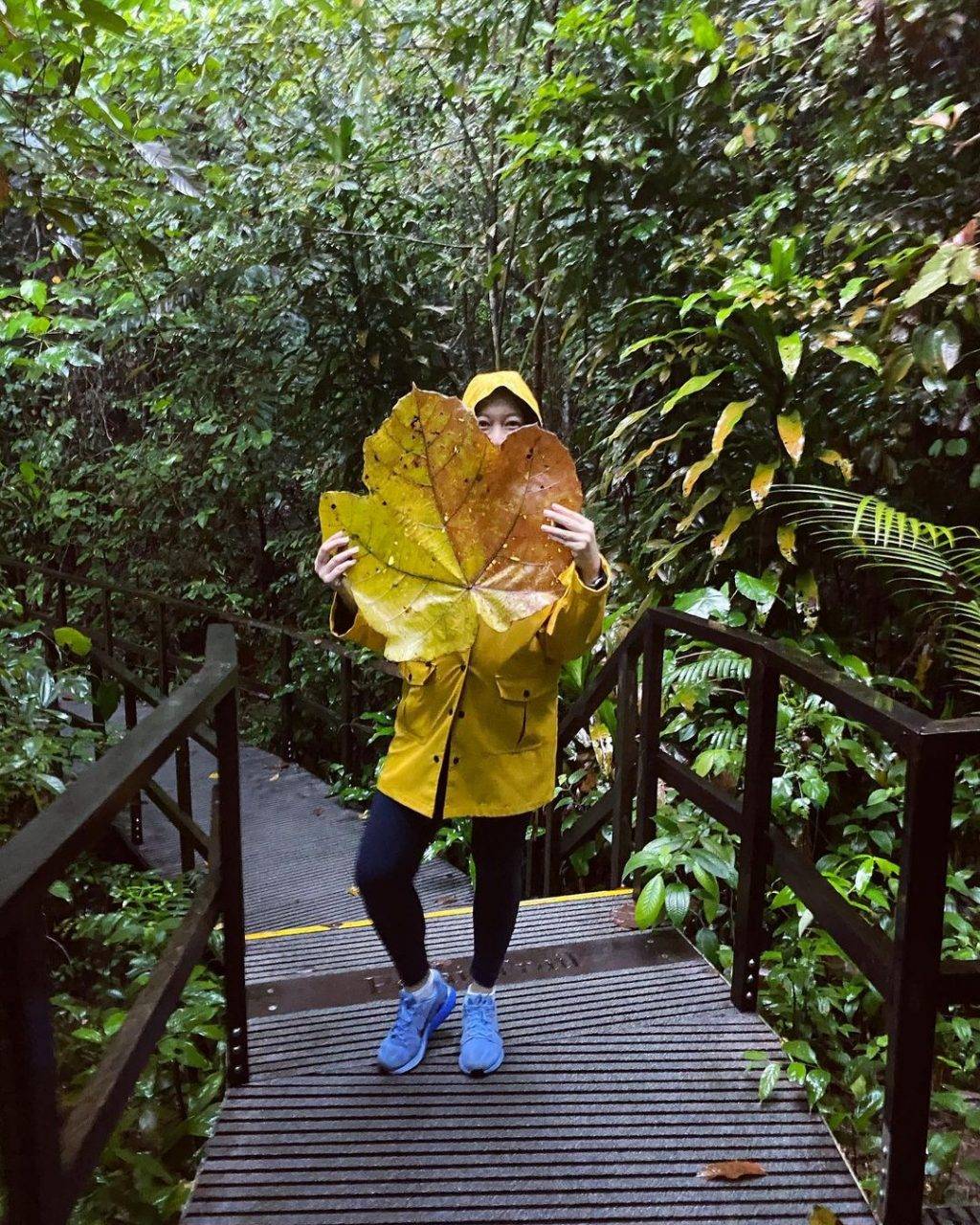 惬意悠閑“木板路”合集！新加坡11大自然景區⭐️ 林間漫步攻略+絕美海濱棧道