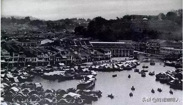 满是华人的新加坡，为什么更受欢迎的是咖啡而不是茶