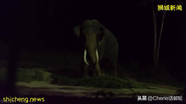 新加坡旅遊3天就夠?看完這篇最全攻略,你還這樣認爲嗎!