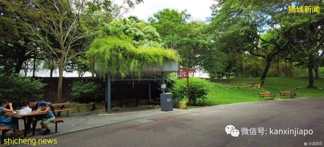 遛娃圣地海军部公园,超多大滑梯,大人孩子一起嗨