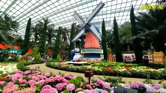 濱海灣花園首次以繡球花爲主題 展出特需人士畫作