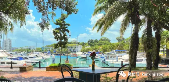 免费吃免费玩,带着孩子吃饭还能有这么多优惠?儿童薅羊毛餐厅全指南