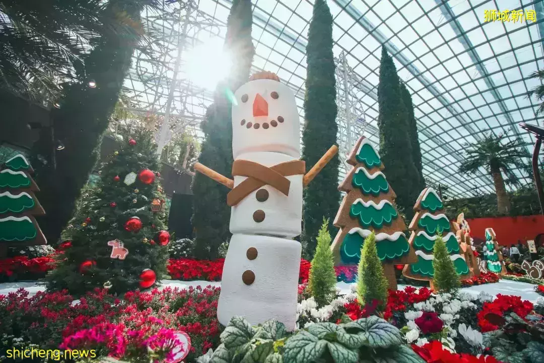 新加坡滨海湾花园一年一度圣诞仙境闪亮登场！花穹岁末花展带你走进童话世界