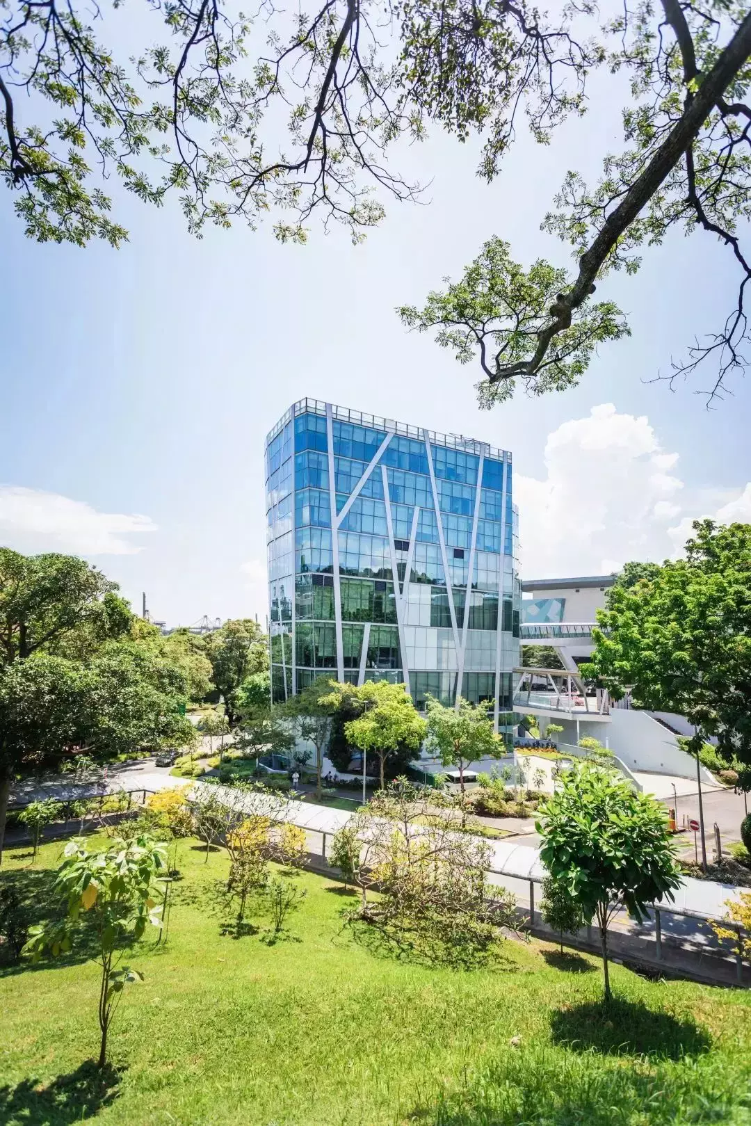 商业分析硕士首届校友分享：商业决策中的数字化驱动