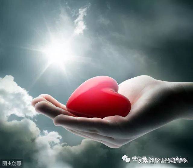 1月12日周日白徒：麦里芝至武吉知马山 MacRitchie Reservoir to Bukit Timah Hill