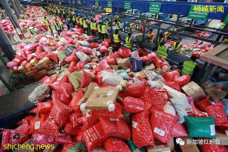 新加坡人愛上Made in China 中國電商平台成了網購首選