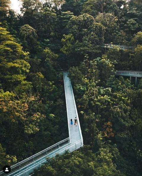 剛剛！新加坡在這方面超過美國和中國，全球第一！美國總統發帖表示不服
