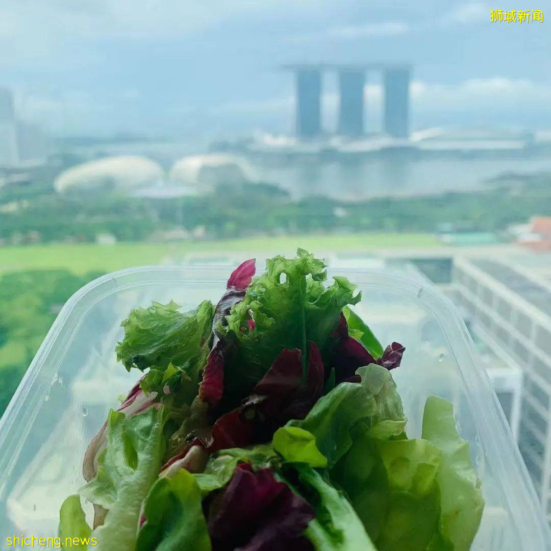 “我就是坐了個地鐵,竟然收到新加坡衛生部簡訊,叫我隔離!!!”