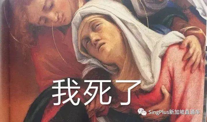 《新加坡高校留学生图鉴》