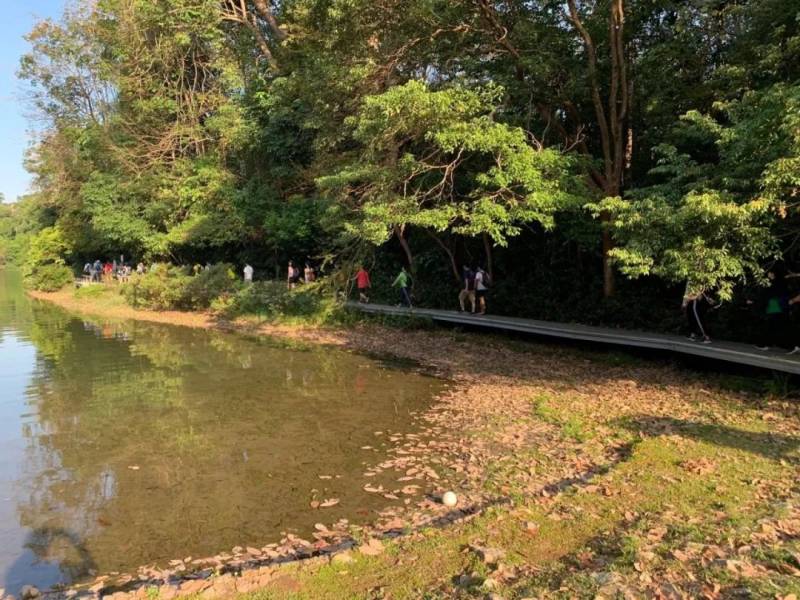 2020年1月5日星期日丛林探索之旅 - 环麦理芝蓄水池