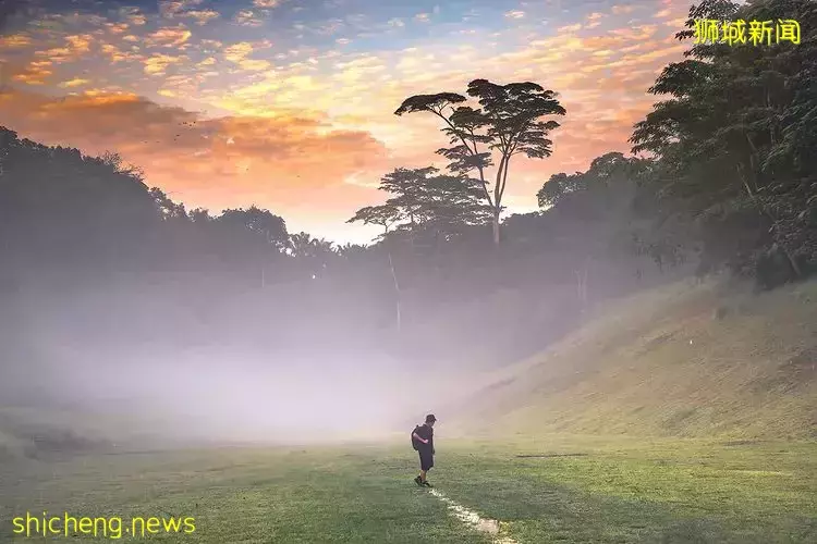 長周末出去走走!精選新加坡小衆大自然景區👣漫步騎車、呼吸新鮮空氣,有益身心