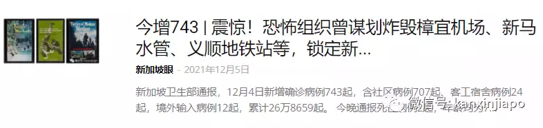 恐怖分子被抓後仍不死心,揚言要和新加坡同歸于盡