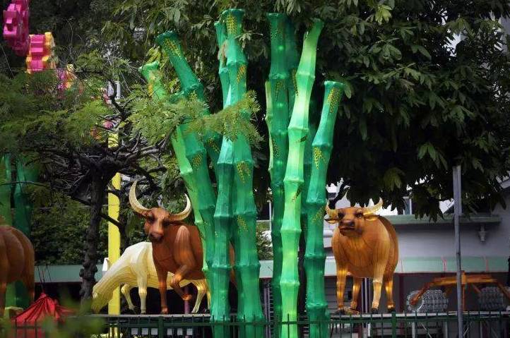 新加坡唐人街解鎖網紅打卡新姿勢,網友:滿滿的豐收味兒