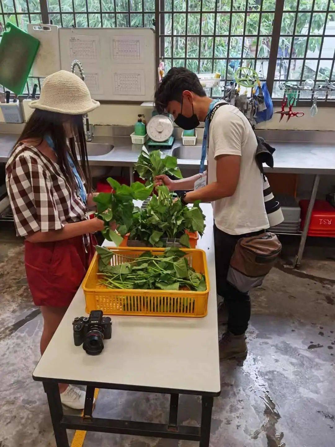 新加坡遛娃新去处!到河川生态园喂海牛,给孩子不一样的staycation