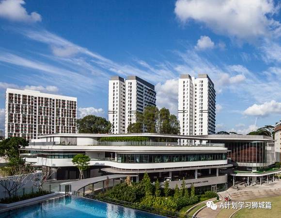 新加坡六所公立大學、工教院和理學院,今年繼續爲應屆畢業生免費培訓