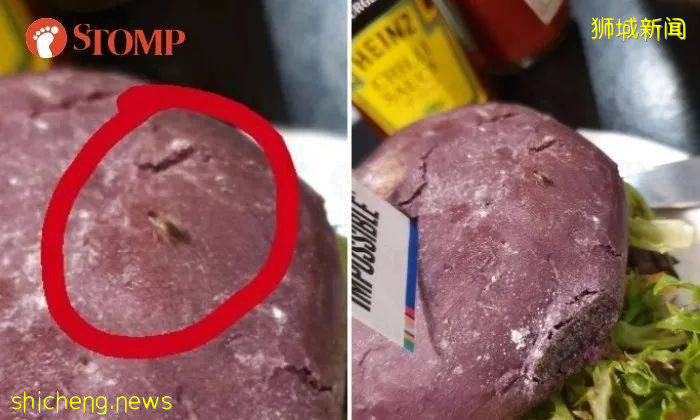 惊!“我在樟宜机场的这个餐厅打包,竟然吃出一只蟑螂!”