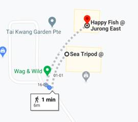 裕廊东前晚爆炸事件,原因竟是清洁工无意倒入的三桶粉