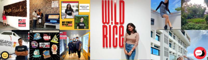 小坡岛科研 新加坡率先批准培植鸡肉售卖!这所高校功不可没