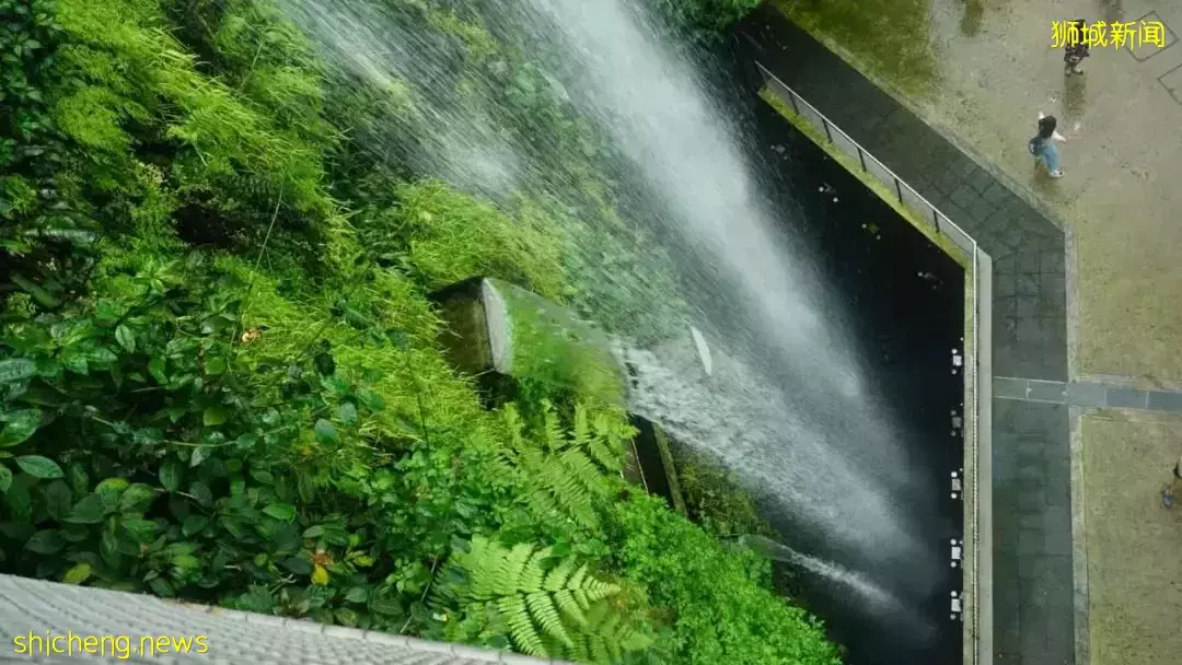 又是想去新加坡旅游的第N+1天！先收藏这份‘新加坡旅行攻略’来解馋吧