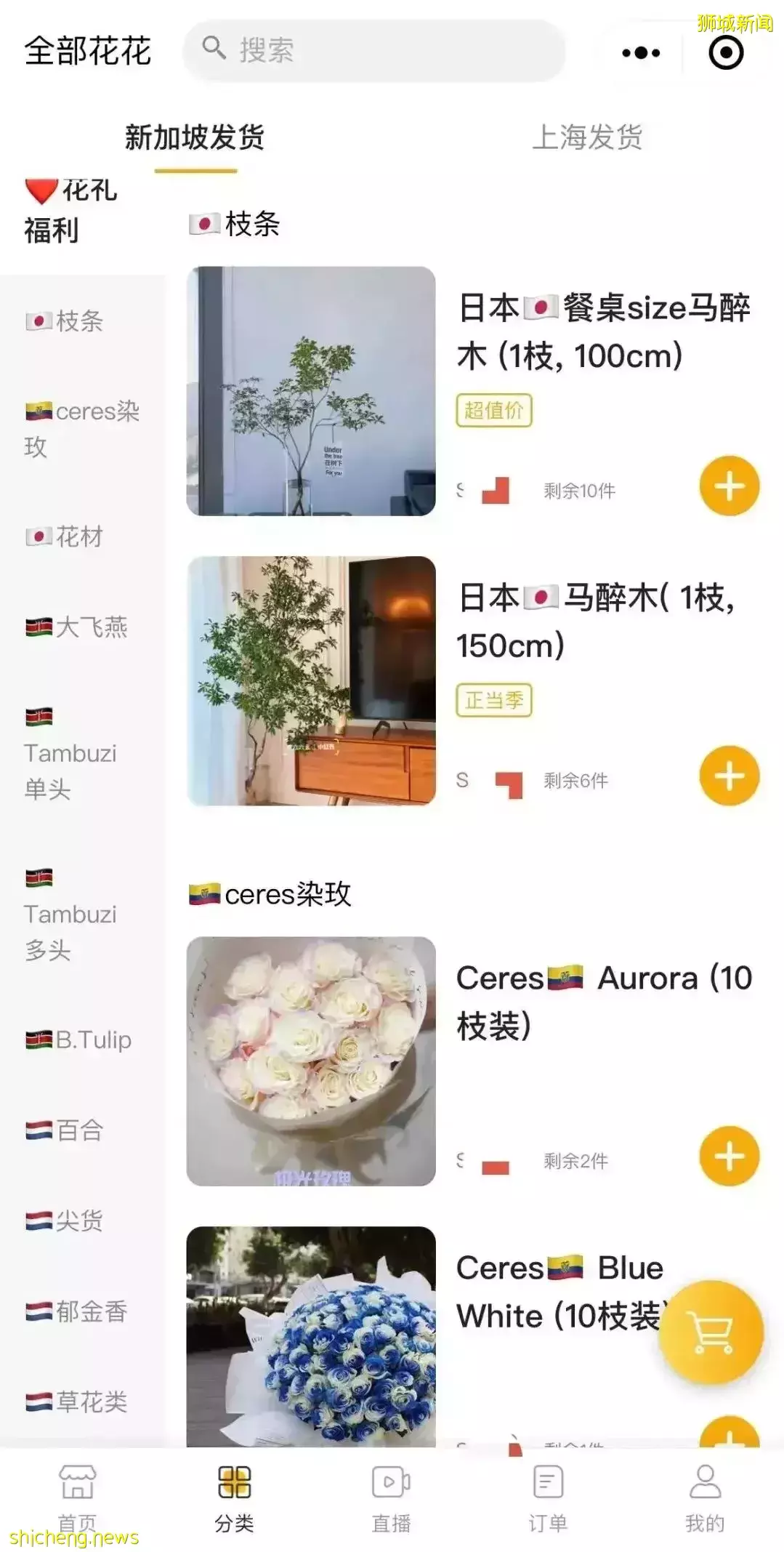 鮮花在熱帶也能養1個月？資深花友新加坡買花、養護大揭秘